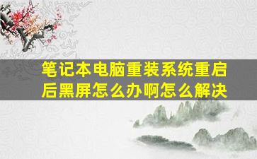 笔记本电脑重装系统重启后黑屏怎么办啊怎么解决