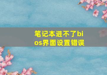 笔记本进不了bios界面设置错误