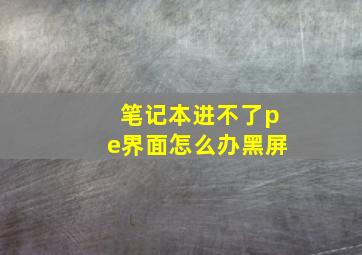 笔记本进不了pe界面怎么办黑屏