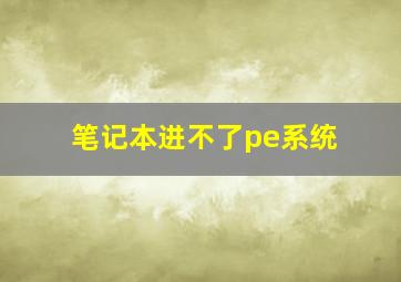 笔记本进不了pe系统