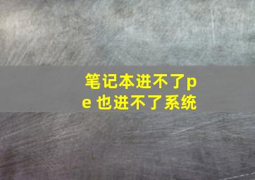 笔记本进不了pe 也进不了系统