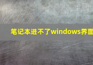 笔记本进不了windows界面