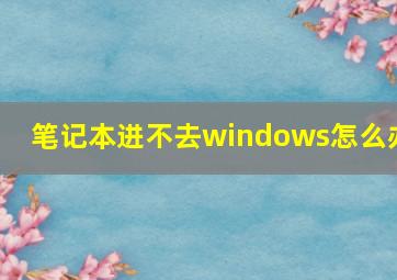 笔记本进不去windows怎么办