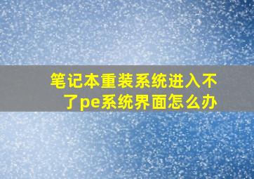 笔记本重装系统进入不了pe系统界面怎么办