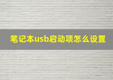 笔记本usb启动项怎么设置