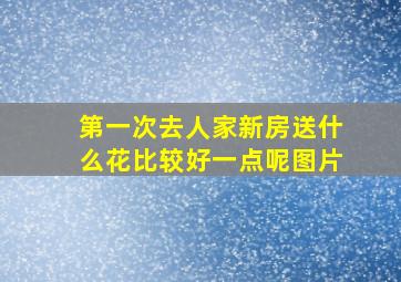 第一次去人家新房送什么花比较好一点呢图片