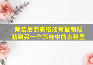 筛选后的表格如何复制粘贴到另一个筛选中的表格里