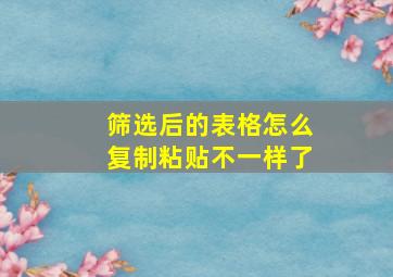 筛选后的表格怎么复制粘贴不一样了