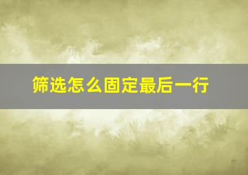 筛选怎么固定最后一行