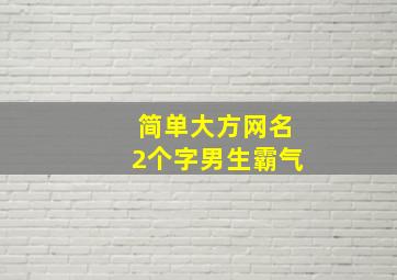 简单大方网名2个字男生霸气