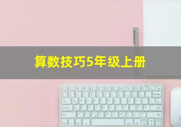 算数技巧5年级上册