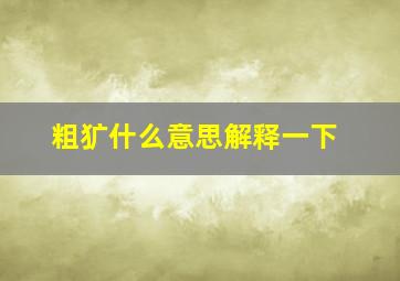 粗犷什么意思解释一下