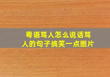 粤语骂人怎么说话骂人的句子搞笑一点图片