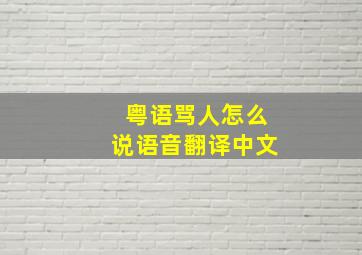 粤语骂人怎么说语音翻译中文