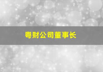 粤财公司董事长