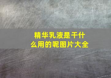 精华乳液是干什么用的呢图片大全