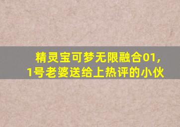 精灵宝可梦无限融合01,1号老婆送给上热评的小伙