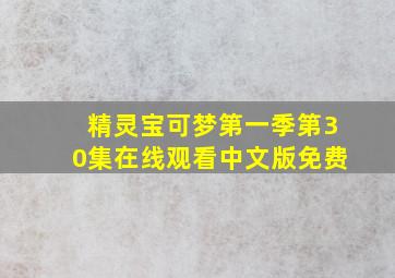 精灵宝可梦第一季第30集在线观看中文版免费