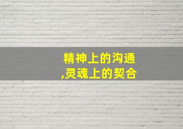 精神上的沟通,灵魂上的契合