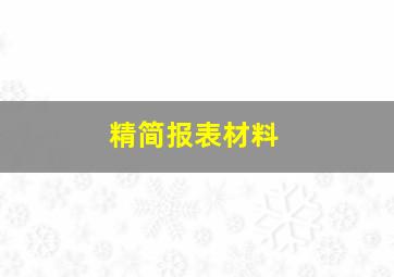 精简报表材料