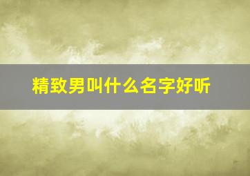 精致男叫什么名字好听