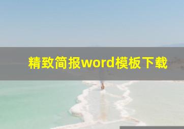 精致简报word模板下载