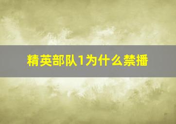 精英部队1为什么禁播