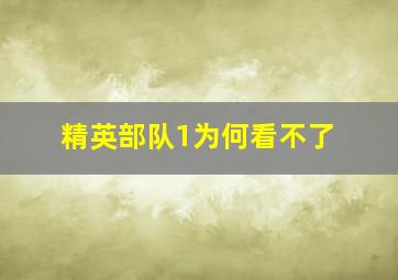 精英部队1为何看不了