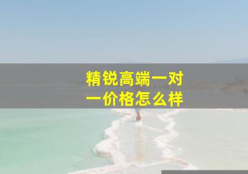 精锐高端一对一价格怎么样