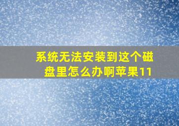 系统无法安装到这个磁盘里怎么办啊苹果11