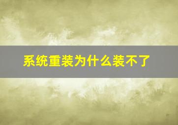 系统重装为什么装不了