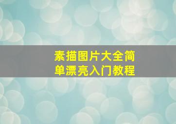 素描图片大全简单漂亮入门教程