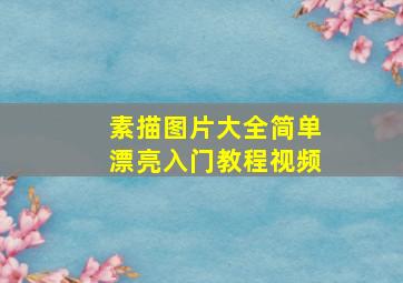 素描图片大全简单漂亮入门教程视频