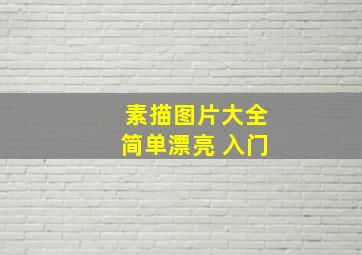 素描图片大全简单漂亮 入门