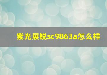 紫光展锐sc9863a怎么样