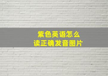 紫色英语怎么读正确发音图片