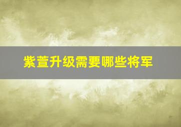 紫萱升级需要哪些将军