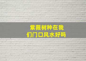 紫薇树种在我们门口风水好吗