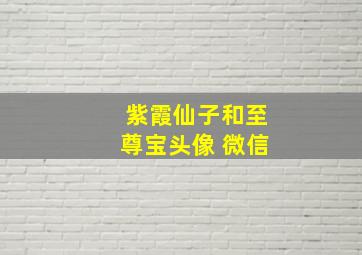 紫霞仙子和至尊宝头像 微信