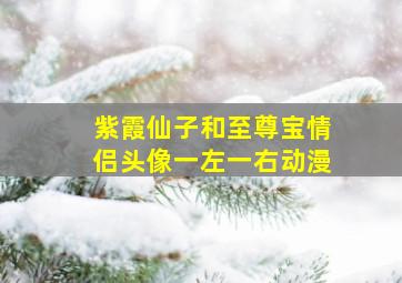 紫霞仙子和至尊宝情侣头像一左一右动漫