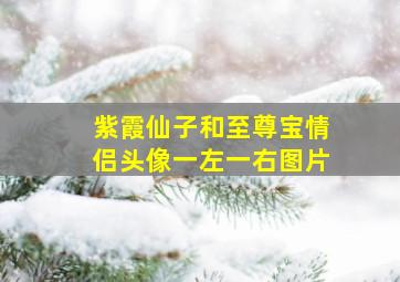 紫霞仙子和至尊宝情侣头像一左一右图片