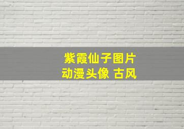 紫霞仙子图片动漫头像 古风