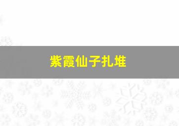 紫霞仙子扎堆