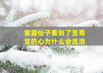 紫霞仙子看到了至尊宝的心为什么会流泪