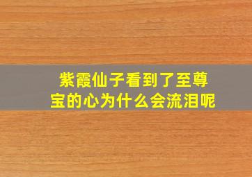 紫霞仙子看到了至尊宝的心为什么会流泪呢