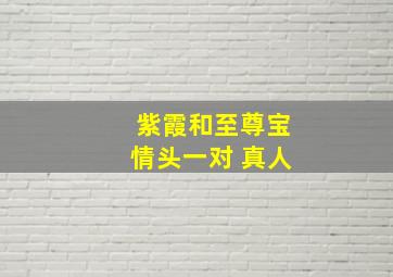 紫霞和至尊宝情头一对 真人