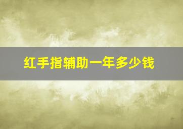 红手指辅助一年多少钱