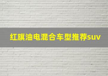 红旗油电混合车型推荐suv