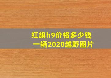 红旗h9价格多少钱一辆2020越野图片