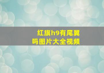 红旗h9有尾翼吗图片大全视频